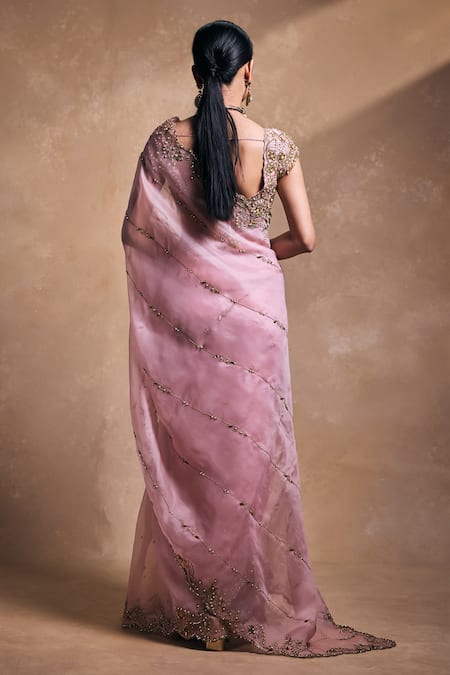 Tamanna Punjabi Kapoor Organza Saree & Embroidered Blouse Set 