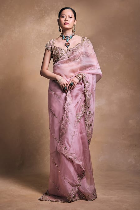 Tamanna Punjabi Kapoor Organza Saree & Embroidered Blouse Set 