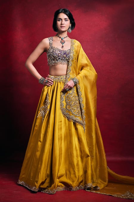 Tamanna Punjabi Kapoor Habutai Silk Embroidered Lehenga Set 