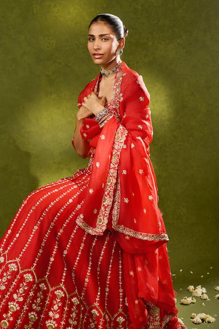 Chamee & Palak_Red Silk, Organza Embroidery, Beads, Pearls, Zari Anandi Raw Lehenga Set _Online_at_Aza_Fashions