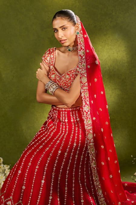 Shop_Chamee & Palak_Red Silk, Organza Embroidery, Beads, Pearls, Zari Anandi Raw Lehenga Set _Online_at_Aza_Fashions