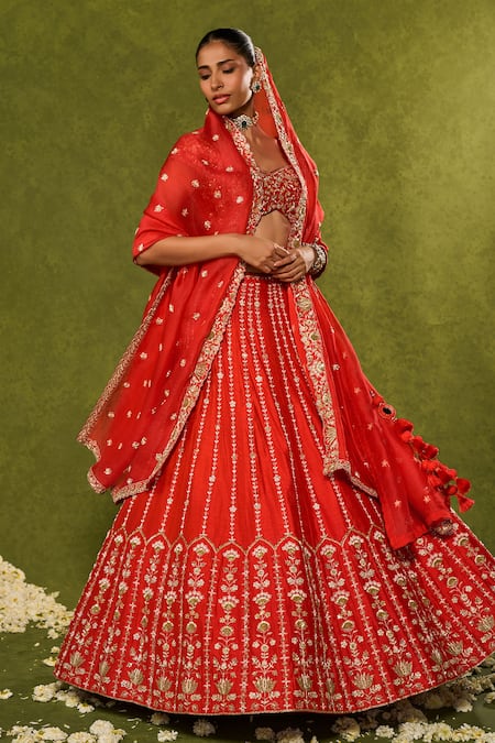 Shop_Chamee & Palak_Red Silk, Organza Embroidery, Beads, Pearls, Zari Anandi Raw Lehenga Set 