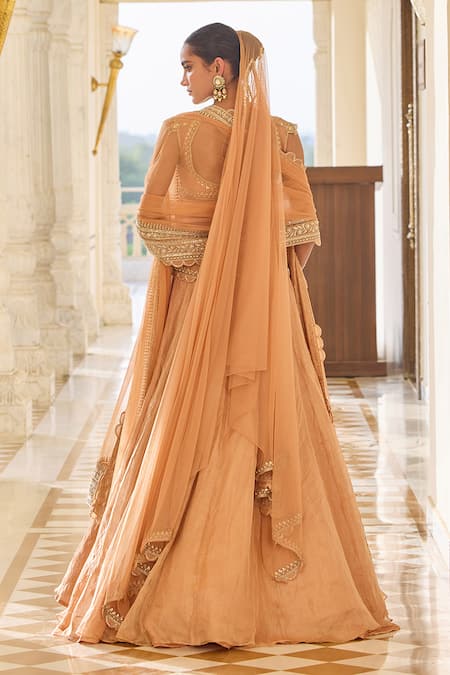 Ridhi Mehra Lustre Embroidered Blouse Lehenga Set 