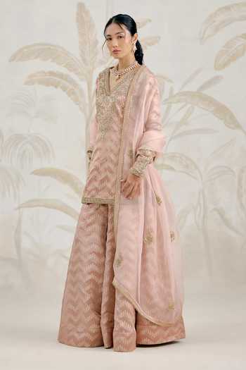 Shyam Narayan Prasad_Pink Silk, Brocade Embroidery V-neck, Yes Zardozi Kurta Sharara Set _Online_at_Aza_Fashions