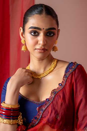 Buy_Baise Gaba_Blue Organza, Muslin Embroidery Rangoli Ombre Saree With Unstitched Blouse Piece 