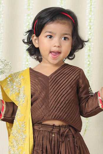 Poochkie_Brown Silk, Viscose Embroidered Lehenga Set _Online_at_Aza_Fashions