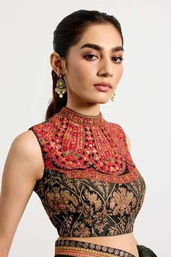 Buy_RI.Ritu Kumar_Green Silk, Chinon High Neck Border Embroidered Saree With Blouse 