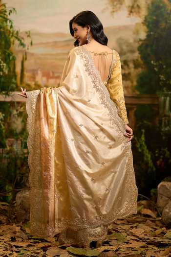 Samyukta Singhania Hand Embroidered Organza Saree & Blouse Set 