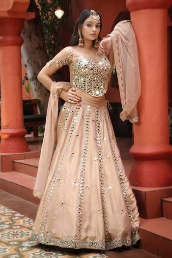 Lasha Pure Silk Tissue Lehenga Set 