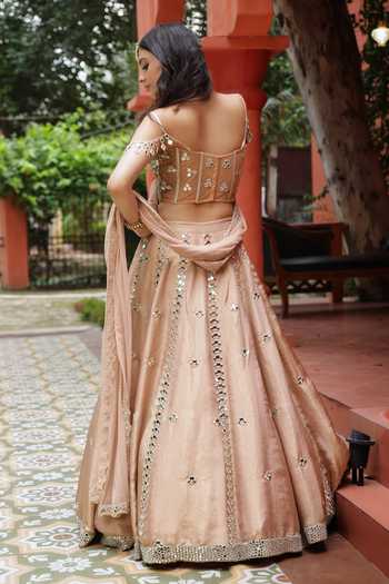 Lasha Pure Silk Tissue Lehenga Set 