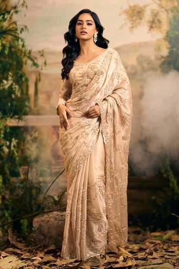 Shop_Samyukta Singhania_Beige Tissue V-neck Hand Embroidered Banarsi Saree And Blouse Set 