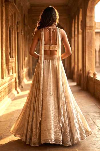 Basanti Kapde aur Koffee Organza Lehenga Set 
