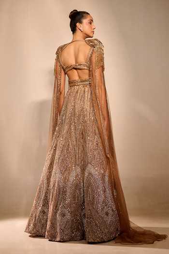 Rachit Khanna Sequin Work Blouse & Skirt Set 