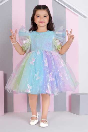 Mini Stitch Butterfly Sequin Embroidered Dress 