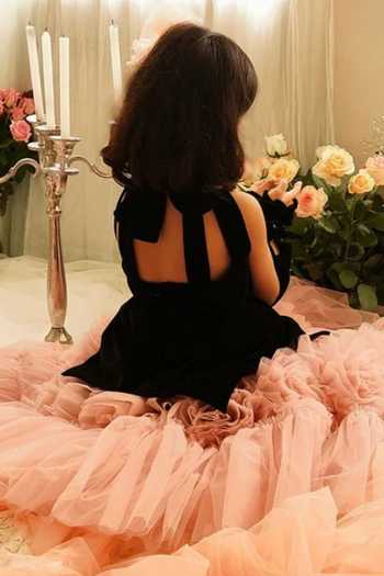Pinkcow designs pvt ltd Butterfly Bloom Velvet Gown