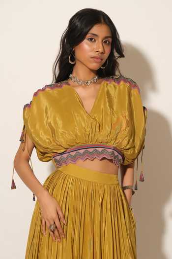 Esha L Amin Chevron Border Embroidered Crop Top 