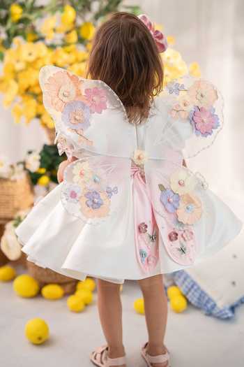 Ruchika Lath Label Flora Butterfly Dress With Butterfly Wings 