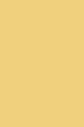 Priya Chaudhary Yellow Organza, Cotton, Rayon Mandarin Collar Sheer Top And Pant Set Online at Aza Fashions Priya Chaudhary_Yellow Organza, Cotton, Rayon Mandarin Collar Sheer Top And Pant Set _Online_at_Aza_Fashions