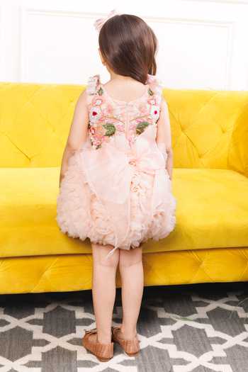 The Lush Affair Embroidered Organza Dress 