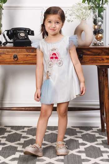 The Lush Affair Cindrella Embroidered Dress 