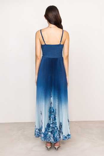 RANNA GILL Comet Rome Print Pleated Maxi Dress