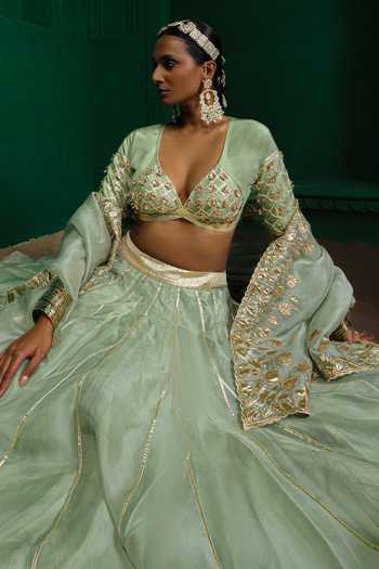 Shop_Charu Makkar_Green Organza, Silk Madhuri Applique Work Lehenga Set _Online_at_Aza_Fashions