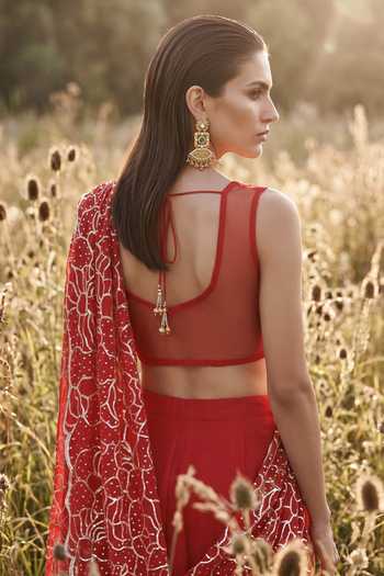 Basanti Kapde aur Koffee Organza Embroidered Draped Saree Set