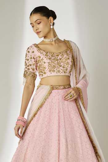 Essay By Sumedha Agrawal Hand Embroidered Lehenga Set 