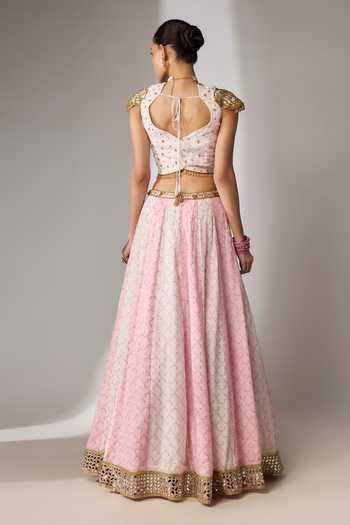 Essay By Sumedha Agrawal Hand Embroidered Lehenga Set 