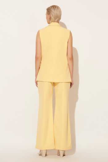 Linetribe Lumis Pleated Waistcoat & Pant Set 