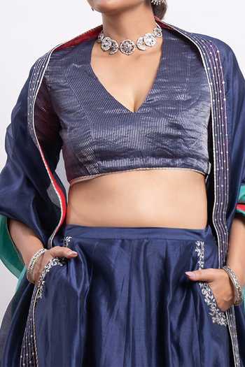 Buy Vinusto Blue Handwoven , With Zari Embroidered Panelled Lehenga Set For Kids Buy_Vinusto_Blue Handwoven , With Zari Embroidered Panelled Lehenga Set For Kids