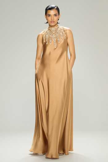 Dilnaz Amber Embellished Gown 
