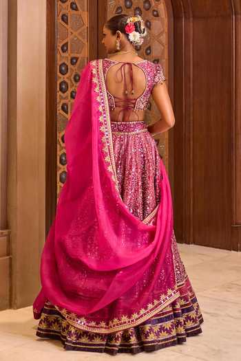 Cedar & Pine Mayra Zari Embroidered Lehenga Set