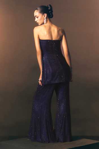 ANGAD SINGH Nocturne Soft Net Top & Sharara Co-Ord Set
