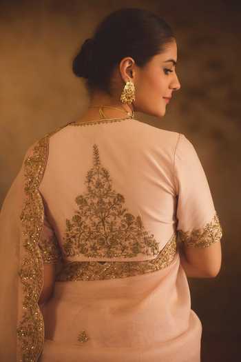 AFRIYA Organza Hand Work Saree With Chanderi Blouse 