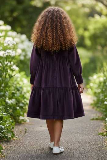 Pooja Wang Savile Bow Velvet Dress 