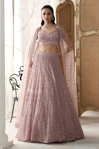 Basanti Kapde aur Koffee Champagne Blush Embroidered Lehenga & Blouse Set