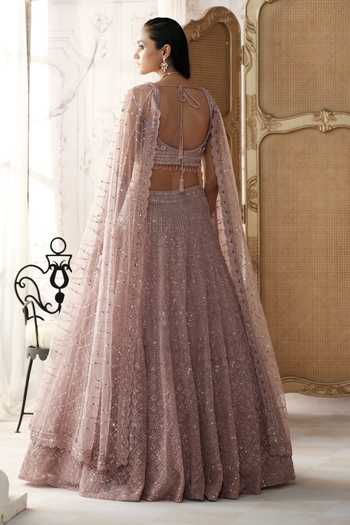 Basanti Kapde aur Koffee Champagne Blush Embroidered Lehenga & Blouse Set