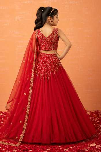 Quench A Thirst Red Hand-Embroidered Lehenga Set 