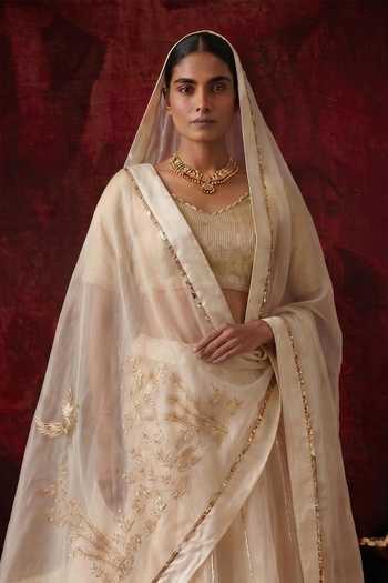 Neelu And Manvi Organza Skirt Set 