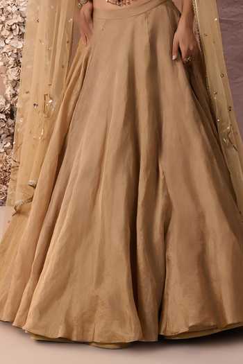 Parul Gandhi Gold Tissue Sequins, Beads, Stones Tabeer Embellished Corset Lehenga Set Online at Aza Fashions Parul Gandhi_Gold Tissue Sequins, Beads, Stones Tabeer Embellished Corset Lehenga Set _Online_at_Aza_Fashions