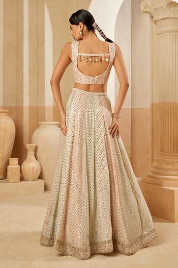 Aditi Somani Mirrorwork Blouse & Lehenga Set 