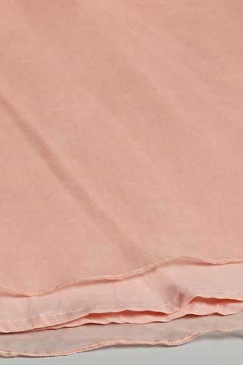 Shop The Little Tales Peach Silk, Cotton, Organza, Net Bow Embellished Dress Online at Aza Fashions Shop_The Little Tales_Peach Silk, Cotton, Organza, Net Bow Embellished Dress _Online_at_Aza_Fashions