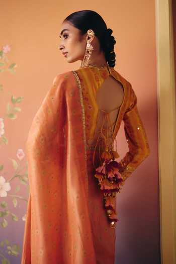 Drishti & Zahabia Soni Phulkari Print Saree & Blouse Set