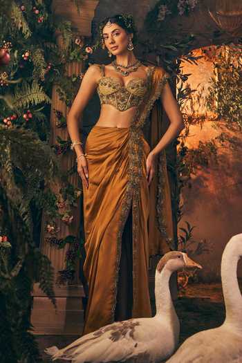 Label Ankush Jain Bordered Draped Saree Set 