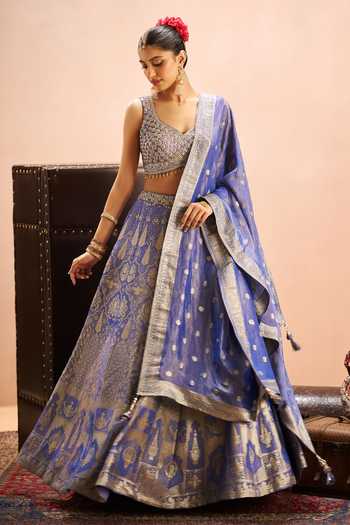 Samyukta Singhania Banarasi Brocade Woven Lehenga Set 