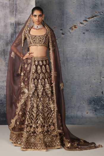 Label Niti Bothra Zar-Rang Brown Jaal Lehenga Set 