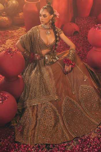 Payal & Zinal Lavanya Embroidered Lehenga Set