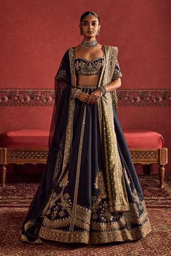 Ridhi Mehra Placement Embroidered Lehenga Set