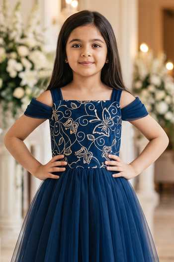 Petite Pomme_Blue Net, Velvet Yoke Embroidered Dress _Online_at_Aza_Fashions